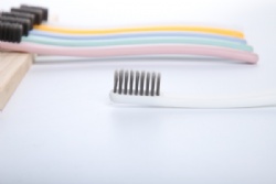 Disposable Toothbrush