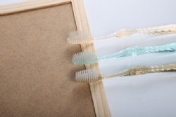 High Quality Hotel Disposable Toothbrush